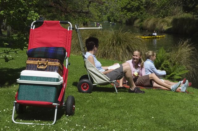 Strandtrolley Aldi sdatec.com