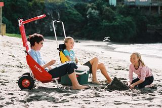 Strandtrolley Aldi sdatec.com