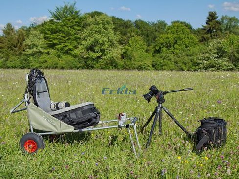 Eckla Beach-Rolly PackShots Ladebügel