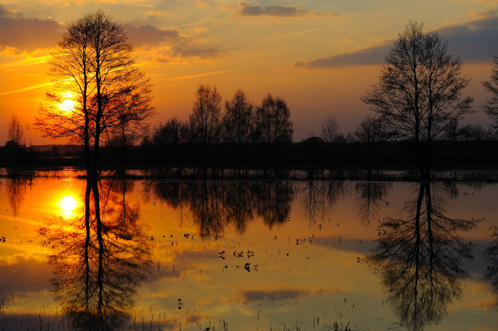 Stimmung Porsch Sonnenuntergang