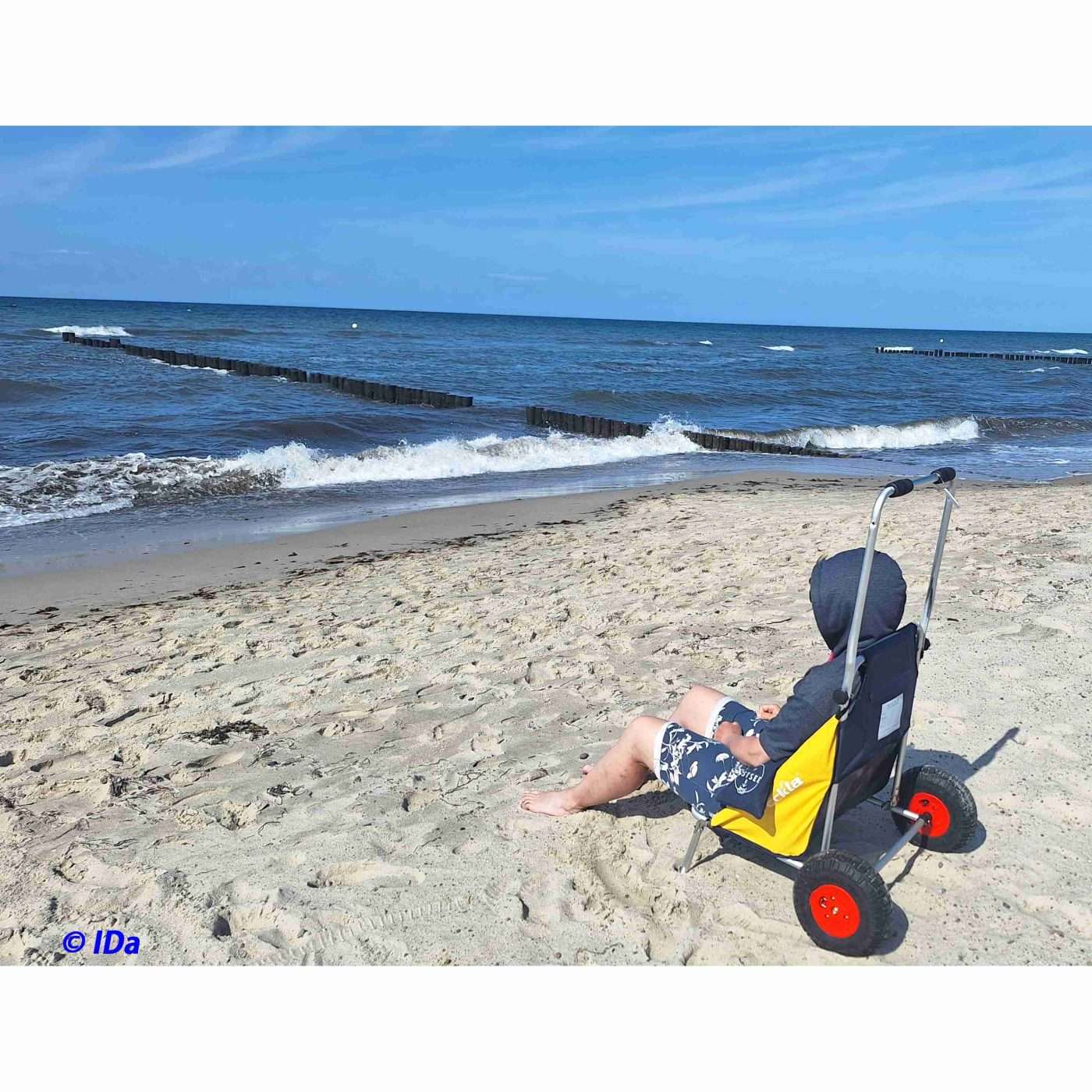 ECKLA Beach-Rolly® with sun canopy - Image 3