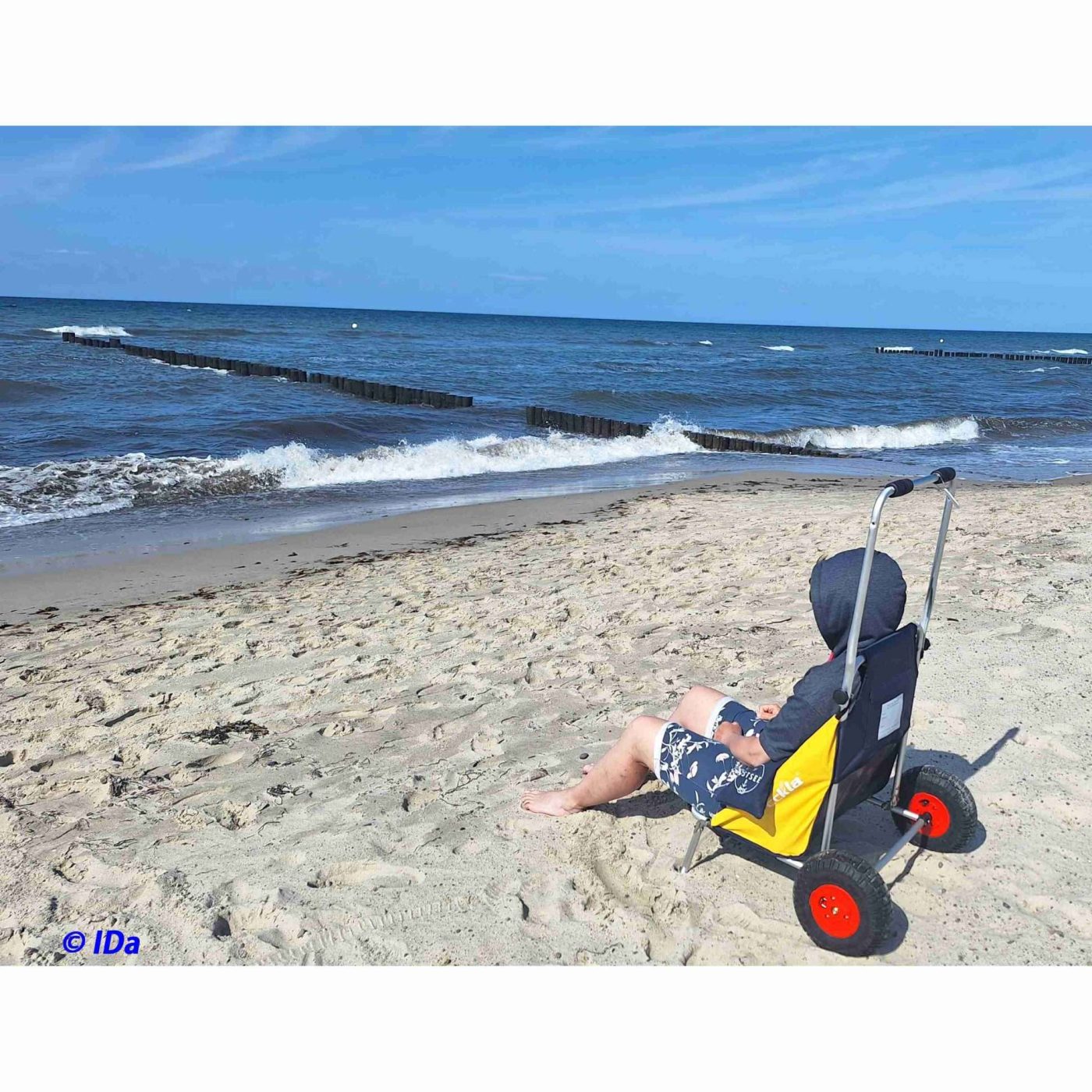 ECKLA Beach Rolly® - Image 7