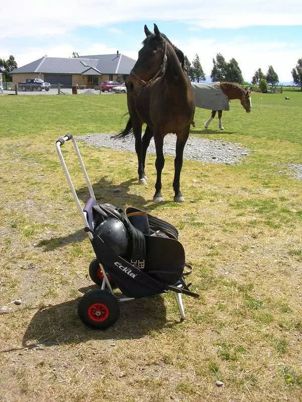 ECKLA Beach-Rolly® – Bild 22